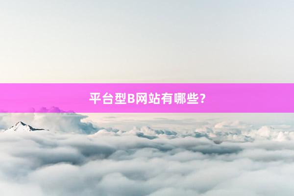 平台型B网站有哪些？