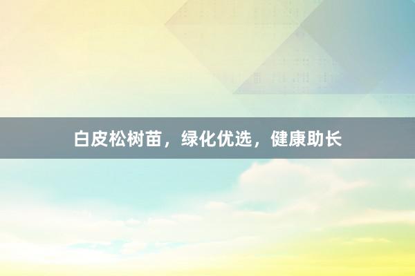 白皮松树苗，绿化优选，健康助长
