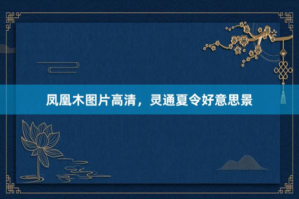 凤凰木图片高清，灵通夏令好意思景