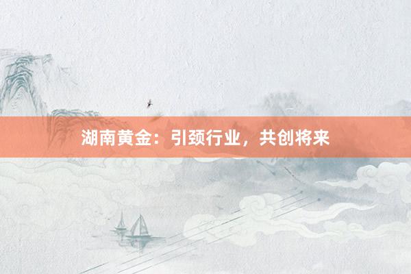湖南黄金：引颈行业，共创将来